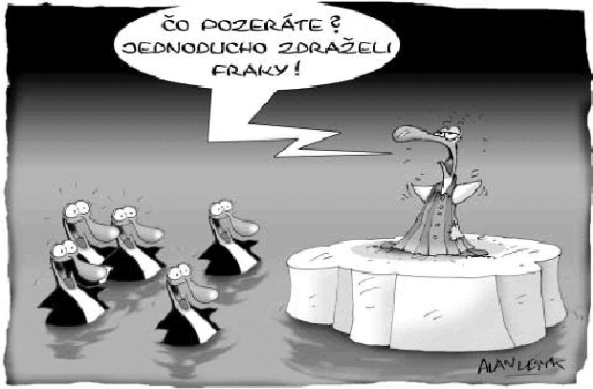 Lesyk 12. 1. 2004