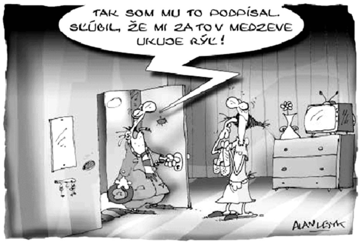 Lesyk 17. 1. 2004