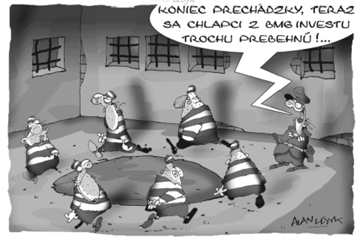 Kresba 25.8.2004