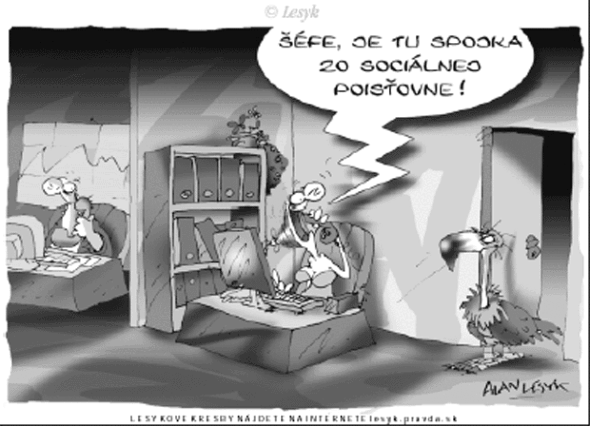 Lesyk 31.1.2005