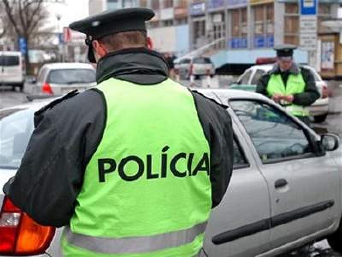 Policajná kontrola