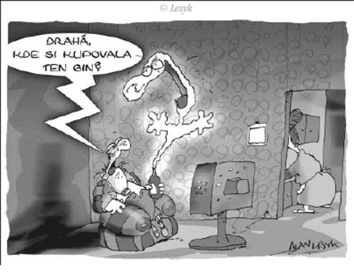 Lesyk 20.6.2005