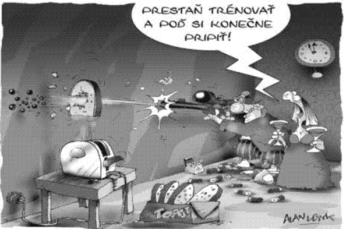 Lesyk 31.12.2005