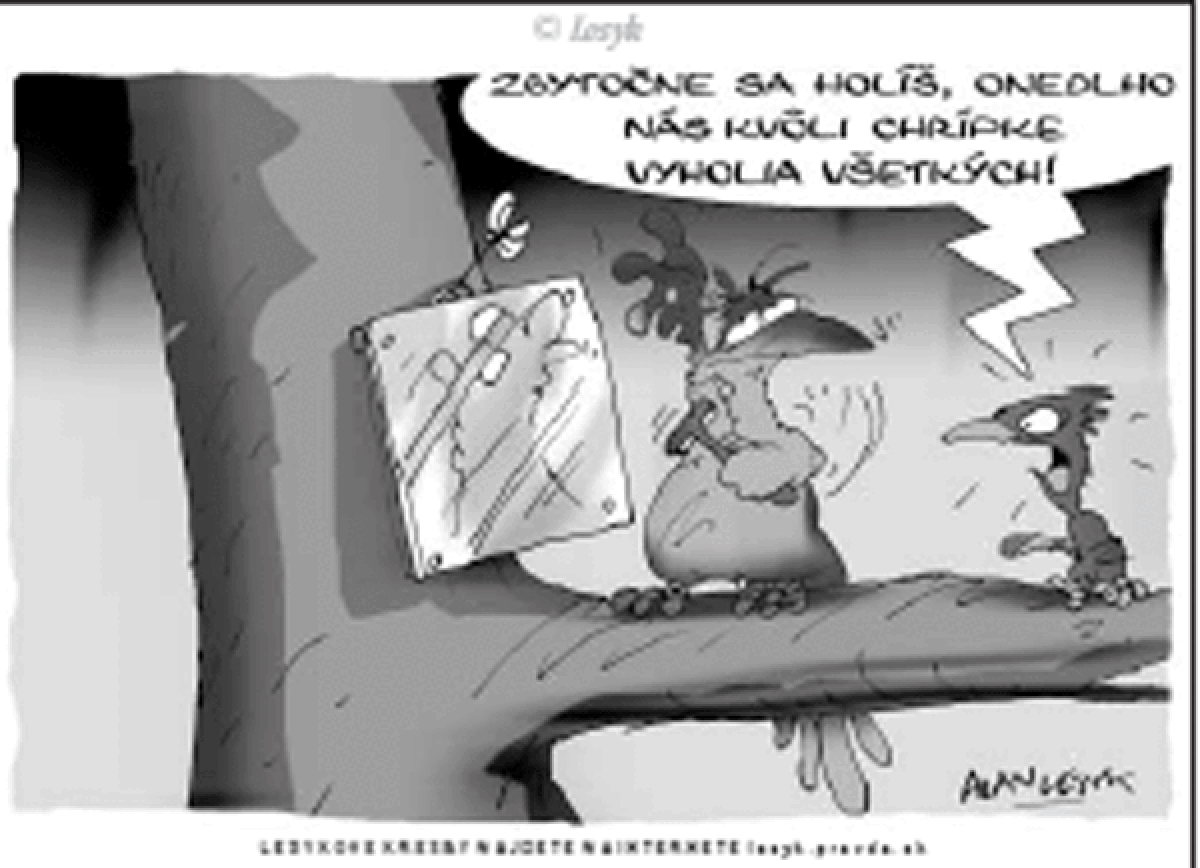 Lesyk 4.3.2006