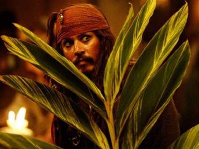 Piráti z Karibiku: Truhlica mŕtveho muža - Johnny Depp