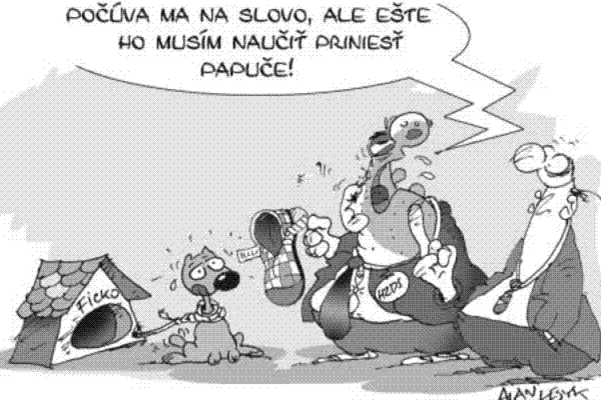 Lesyk, 25.11.2006