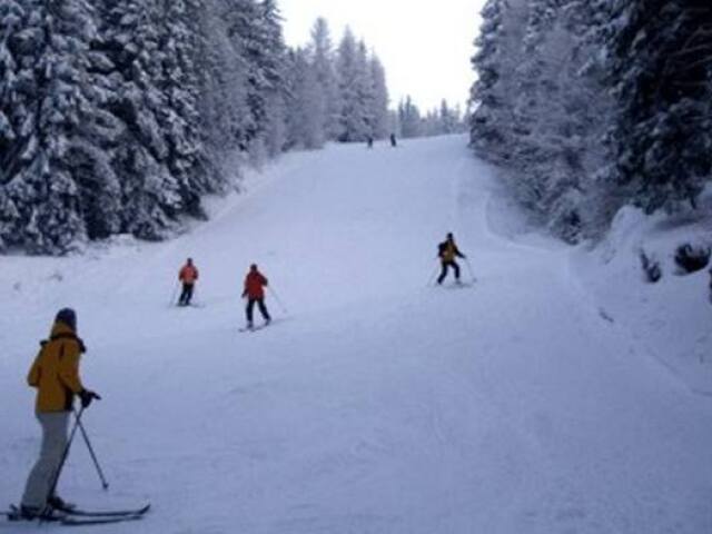 Lyžovanie