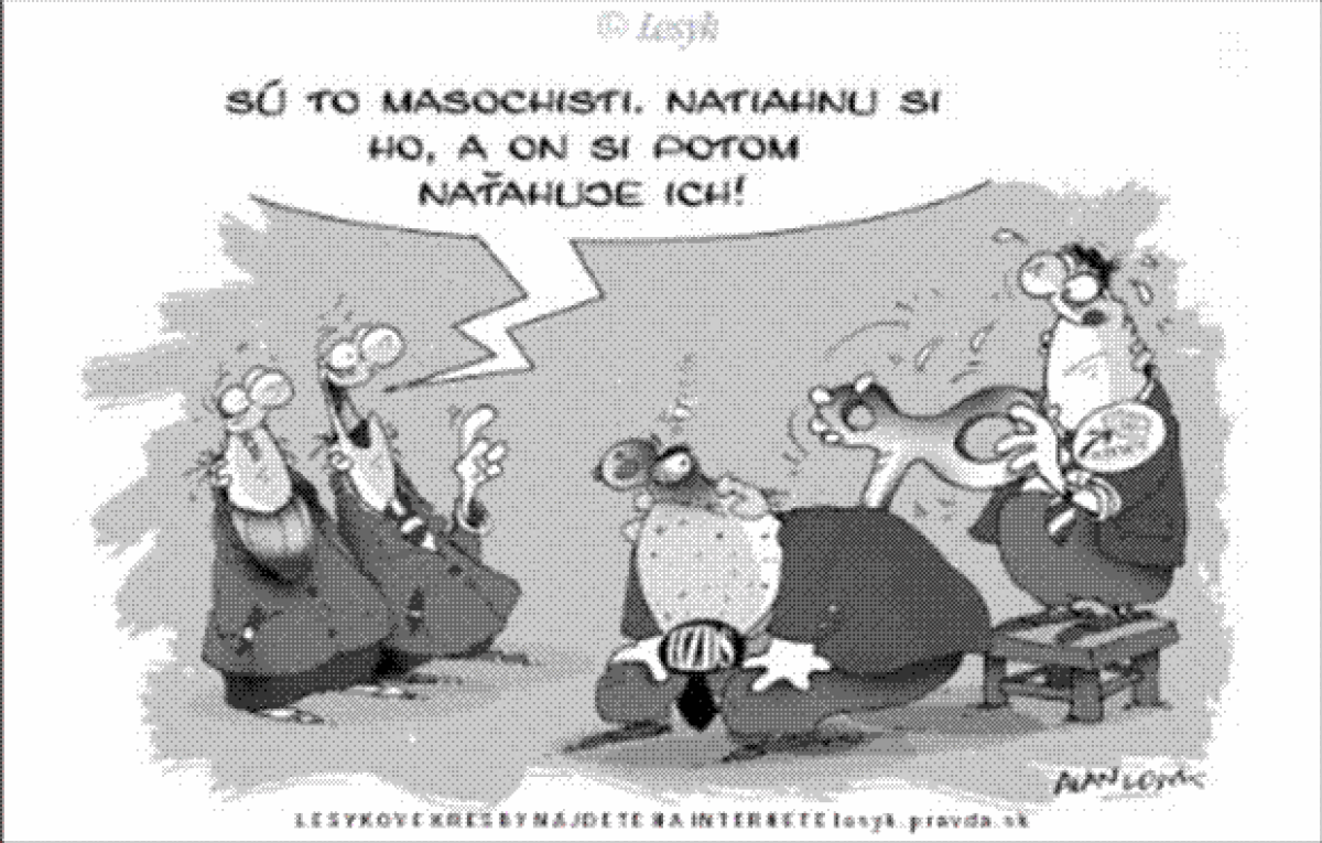 Lesyk 29.12.2006