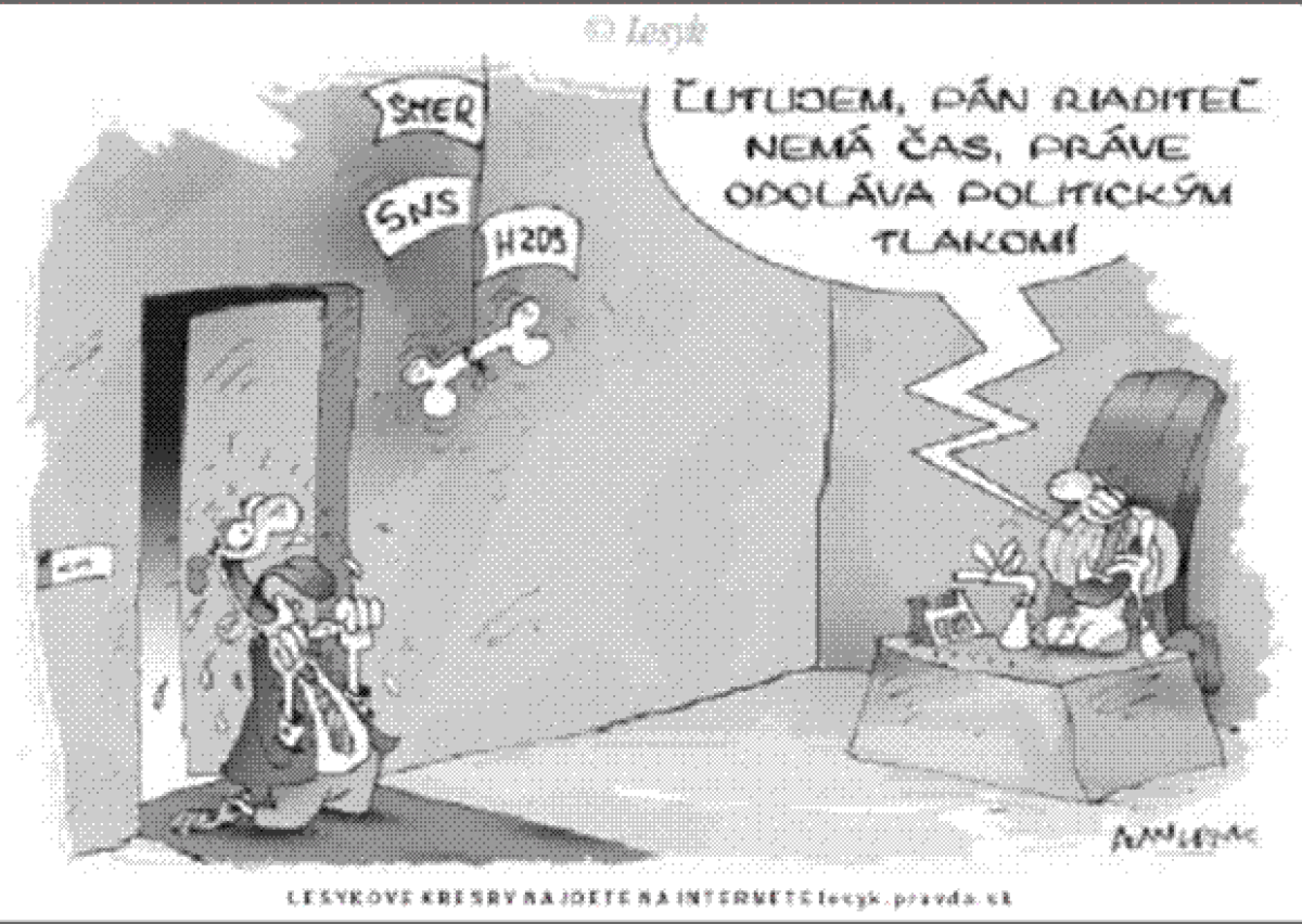 Lesyk 15.1.2007
