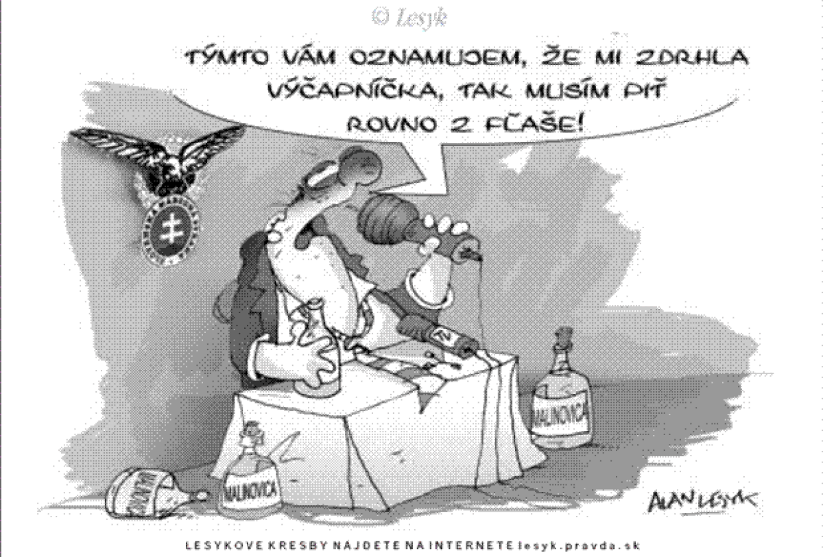 Lesyk 2.6.2007