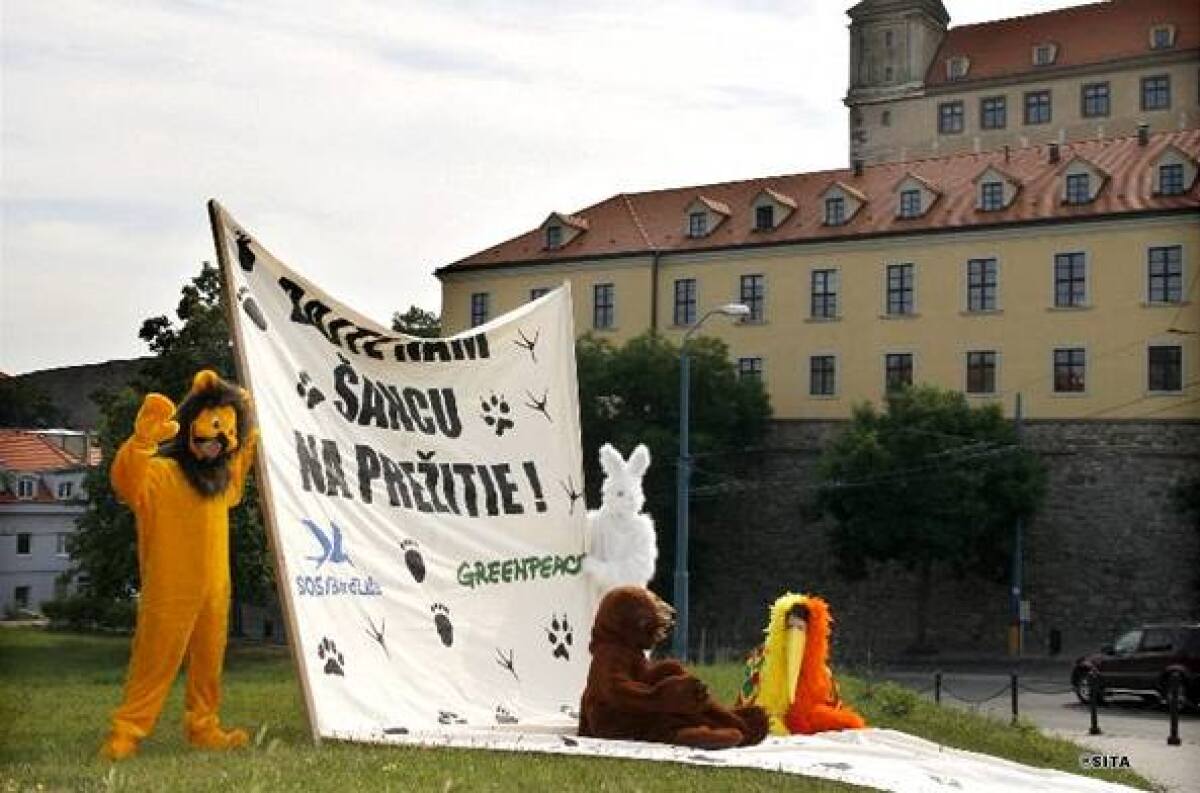 Protest, ochranári