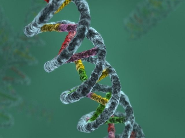 DNA