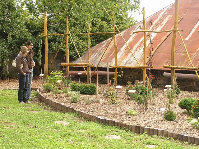 Arborétum