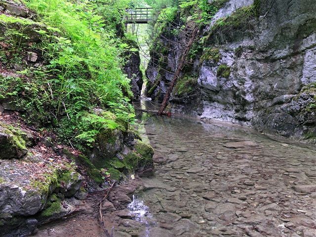 Slovenský raj, voda, rieka