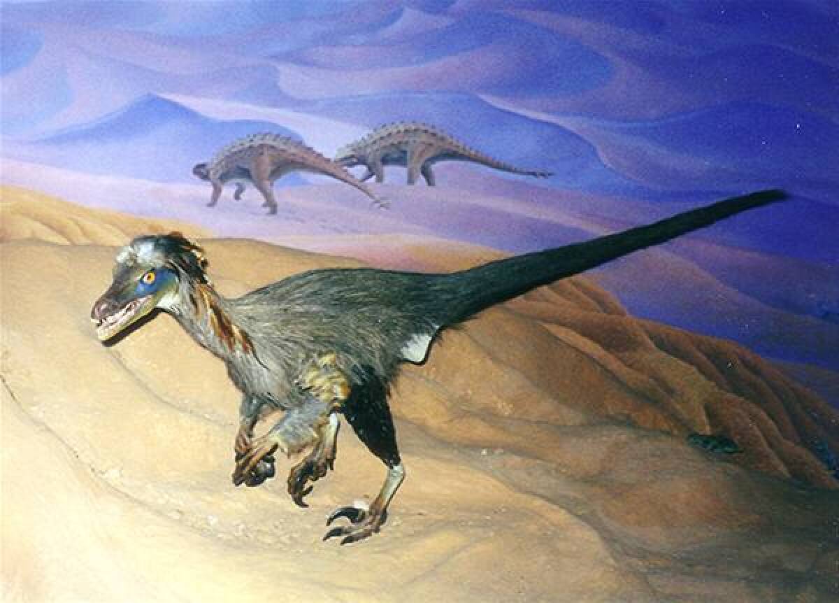 Dinosaurus velociraptor
