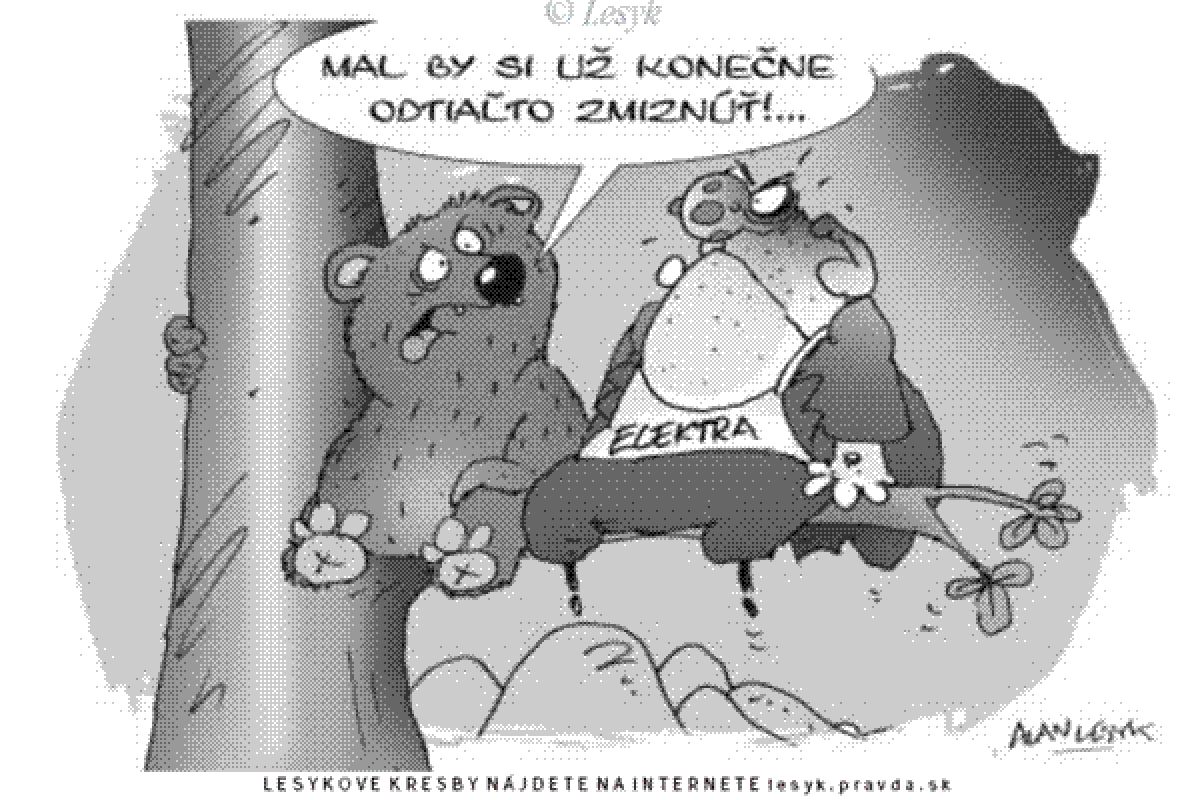 Lesyk, 16.11.2007