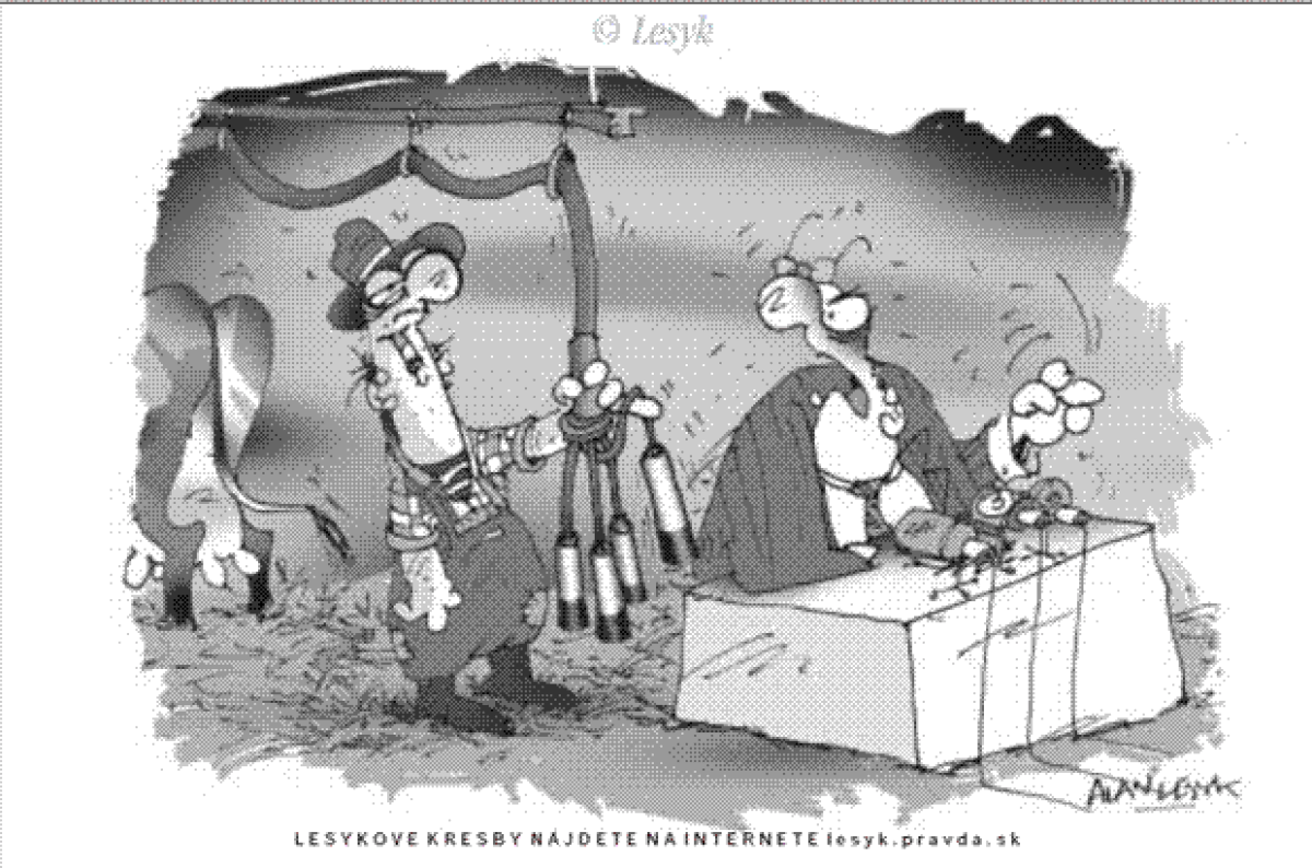 Lesyk 26.11.2007