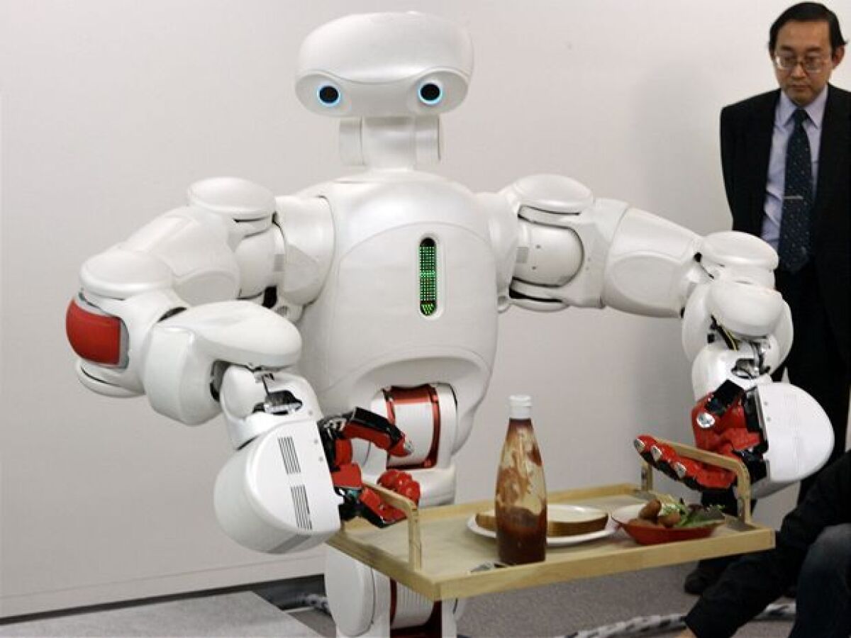 Robot