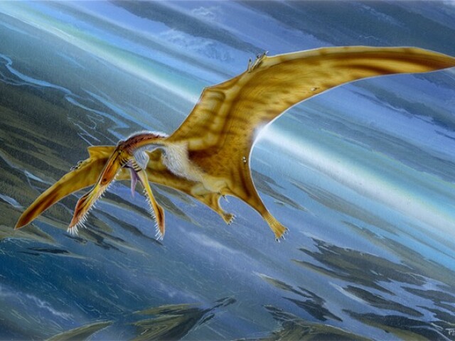 pterosaurus