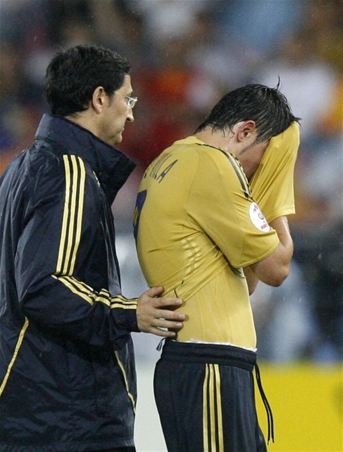 David Villa