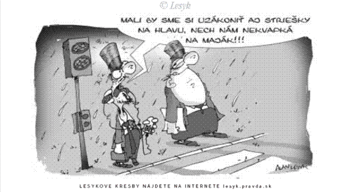 Lesyk 10.7.2008