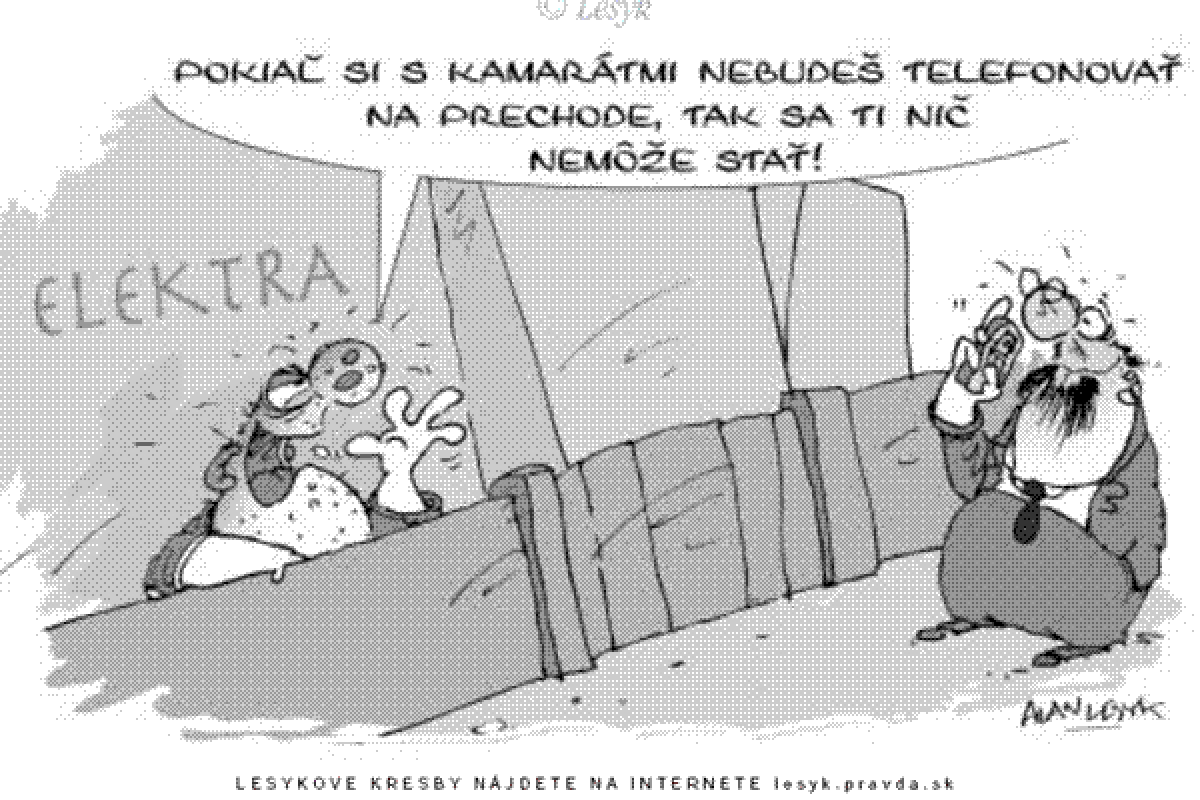 Lesyk, 12.7.2008