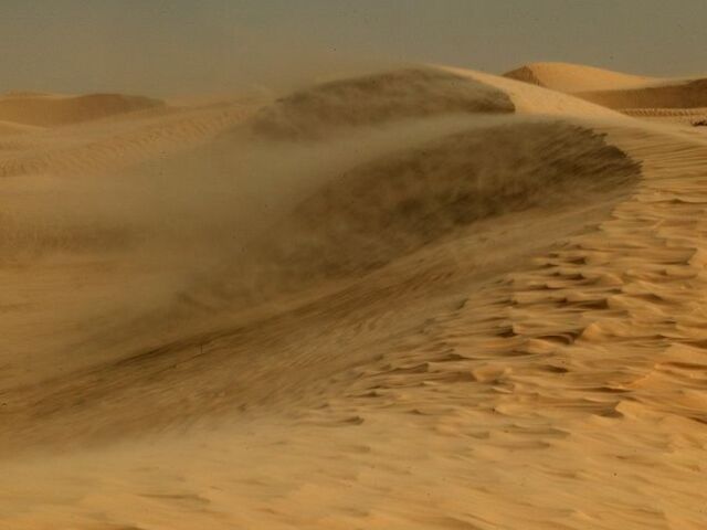 Sahara