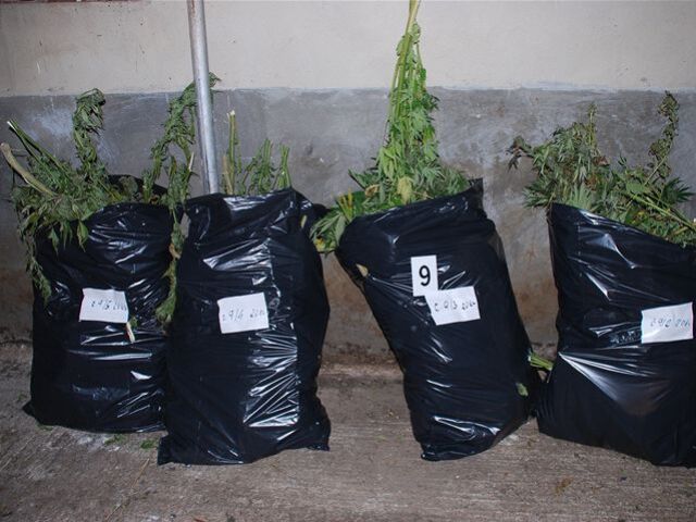 Zhabané drogy