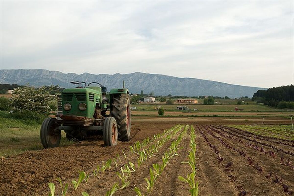 ruka, práca, zem, traktor, orba, farma, družstvo, poľnohospodárstvo, pole