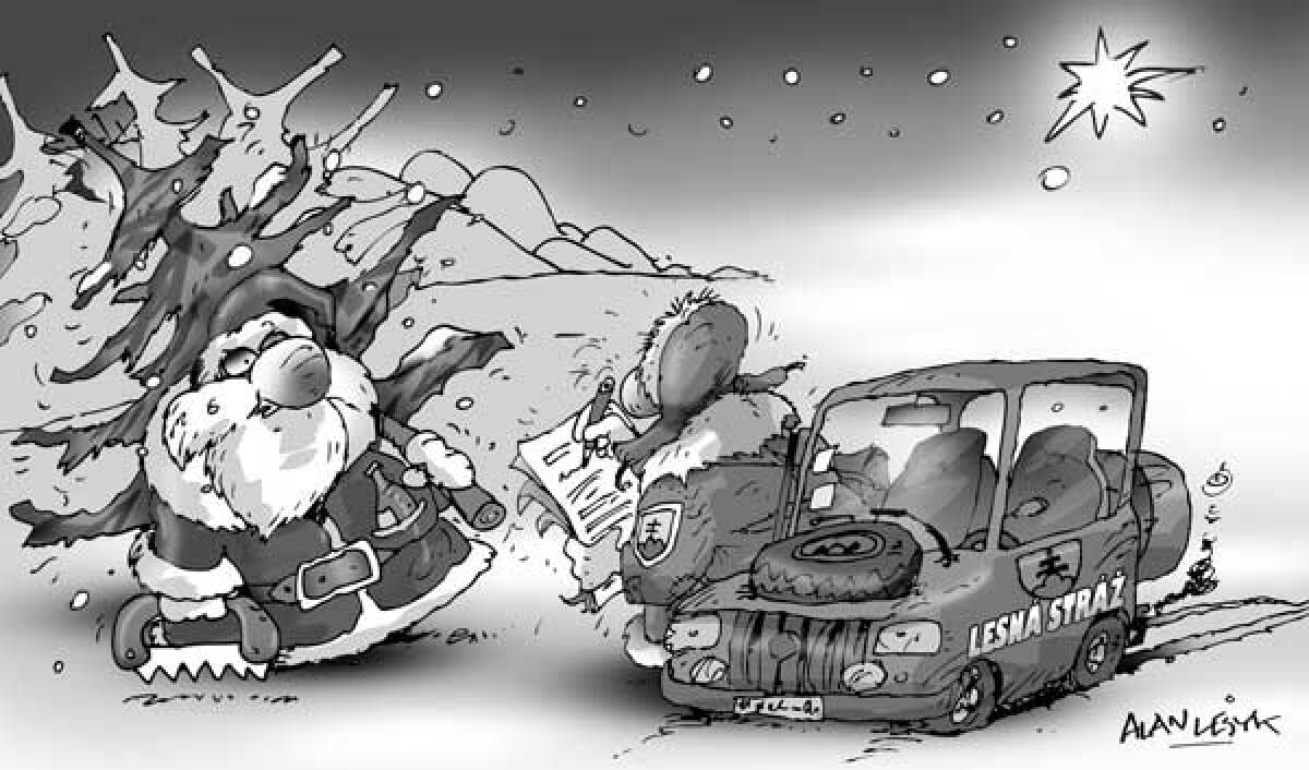 Lesyk, 22.12.2008
