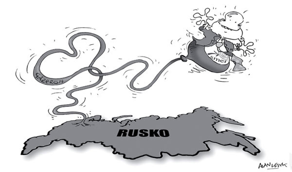 Lesyk, 26.1.2009