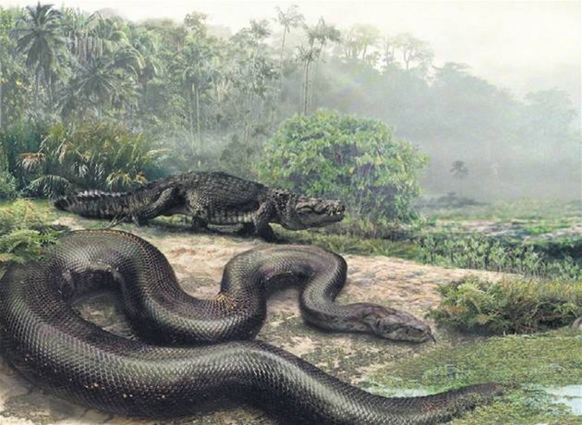 Veľhad Titanoboa
