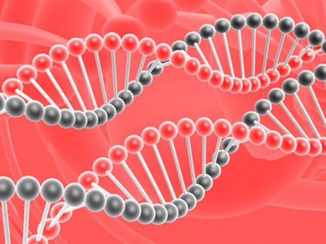 špirály DNA