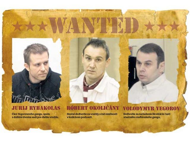 Jurij Rybakolas, Róbert Okoličány, Volodymyr Yegorov