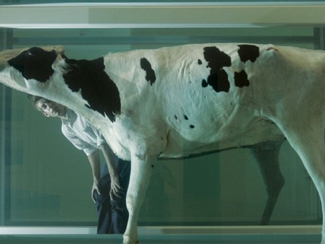 hirst