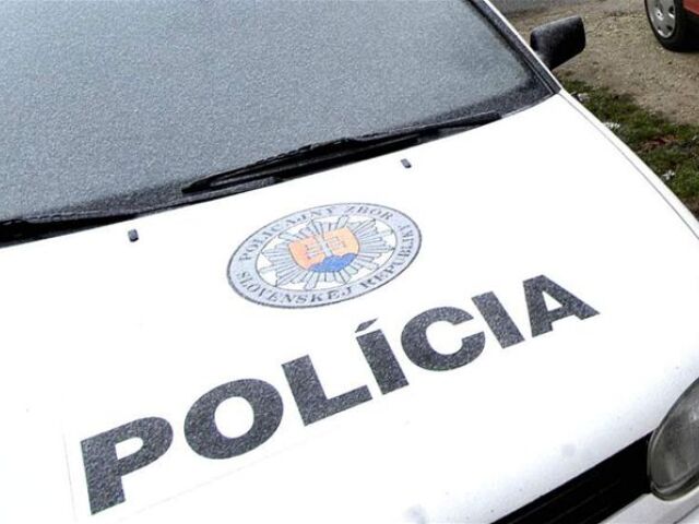 polícia, policajt