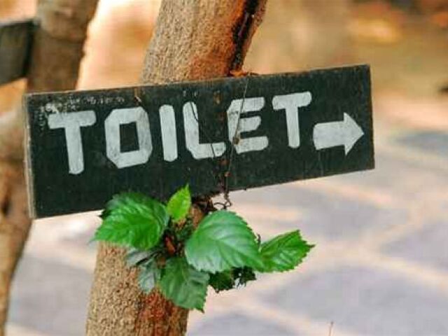 toalety - WC - info 