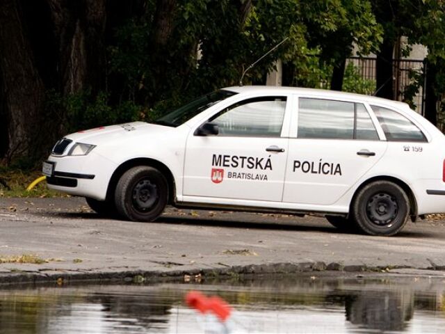 mestská polícia, mestskí policajti