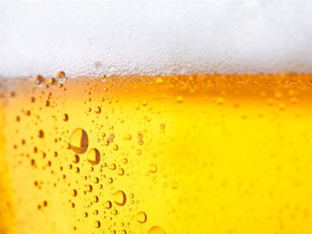 pivo