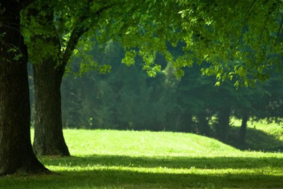park - zeleň - príroda