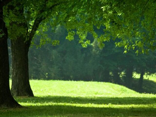 park - zeleň - príroda