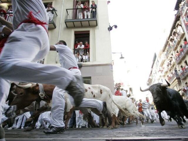 Pamplona, býk, beh