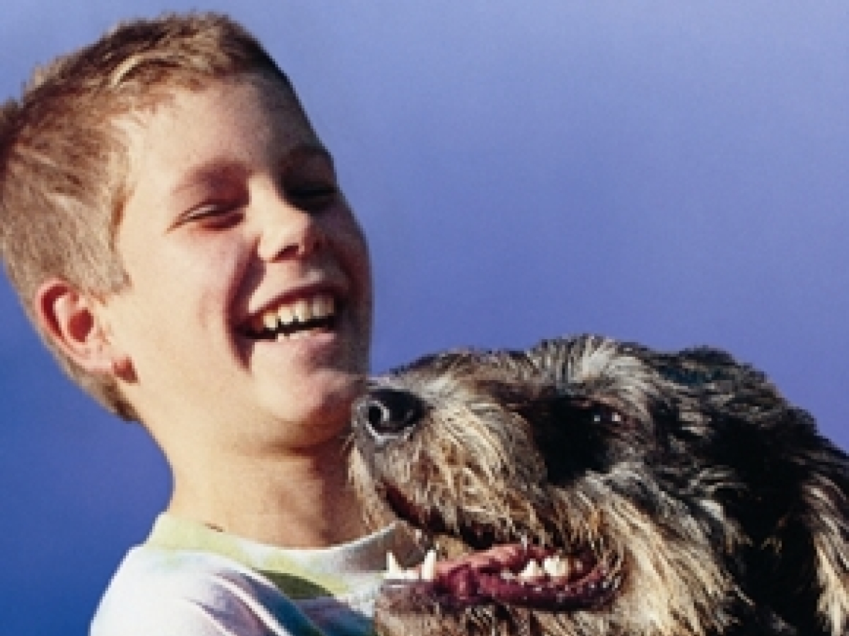 Ako dať psovi prvú pomoc?