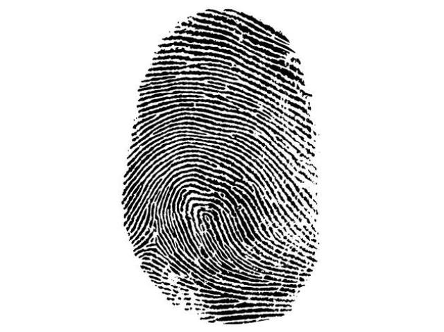 odtlačok prsta, Interpol, identifikácia