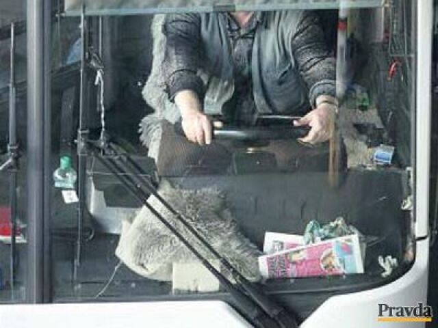 Vodič, autobus