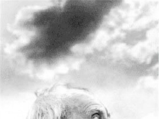 Jorge Luis Borges