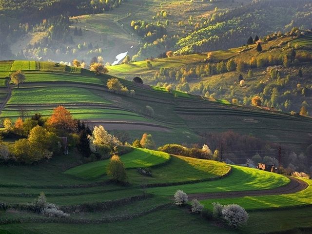 NAJ - Slovensko