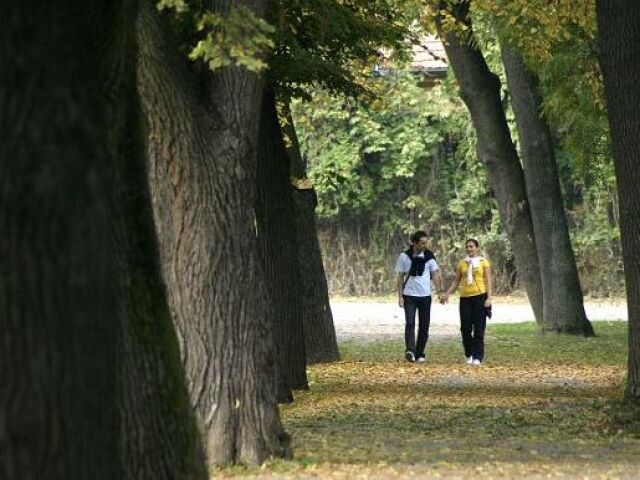Park v Nitre