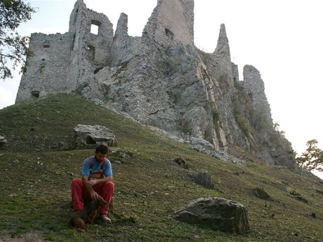 Hrušov, hrad, zrúcanina