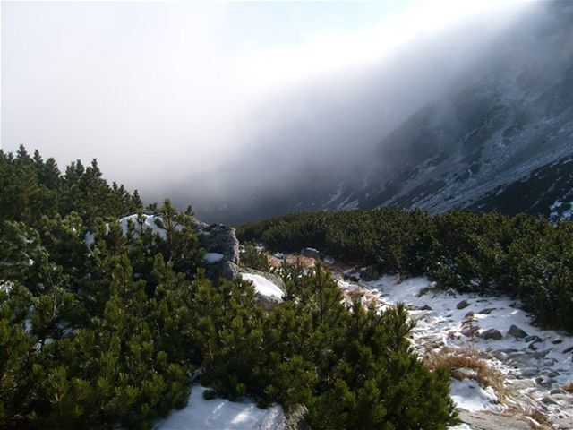 Vysoké Tatry